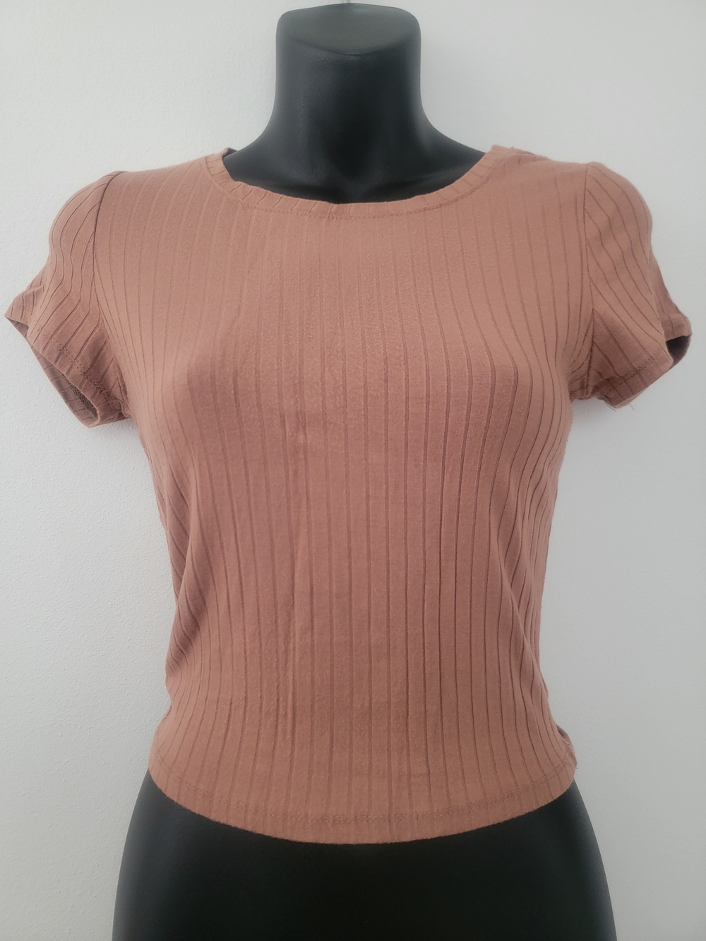 Women’s Ribbed Short Sleeve Top - Rust